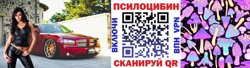 Галлюциногенные грибы прущие грибы  блэк спрут tor  Протвино 