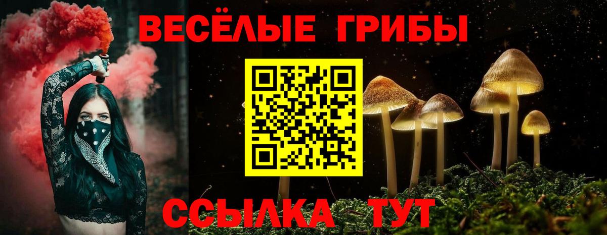 Галлюциногенные грибы ЛСД Протвино
